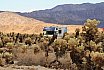 Joshua Tree National Park