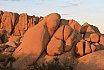 Joshua Tree National Park