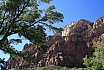 Zion National Park