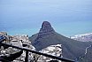 Kap der Guten Hoffnung - Lionshead